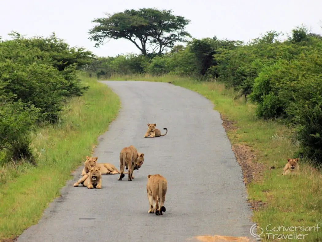 Hluhluwe Imfolozi Game Reserve, South Africa
