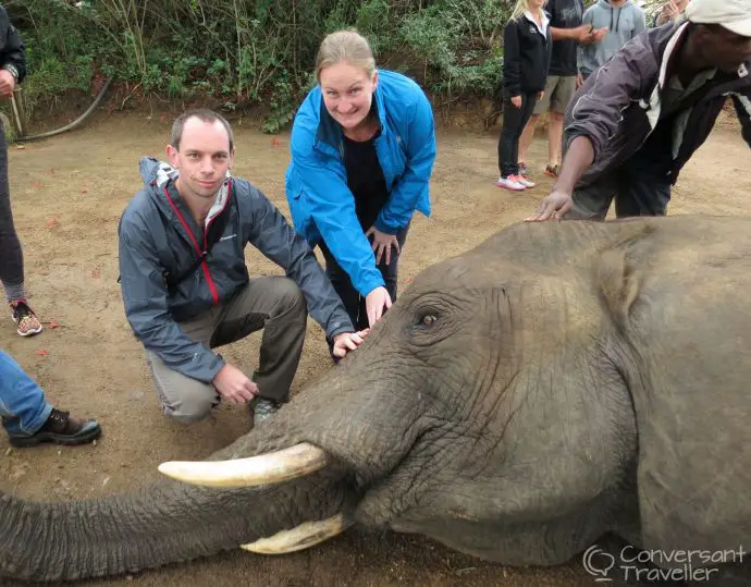 Elephant Whispers Hazyview South Africa Being taught more about the eles during the interaction