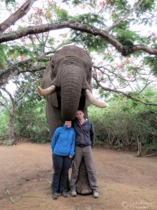 Elephant Whispers Hazyview South Africa Feeling small and insignificant beneath the mighty Tembo, I think my face says it all!