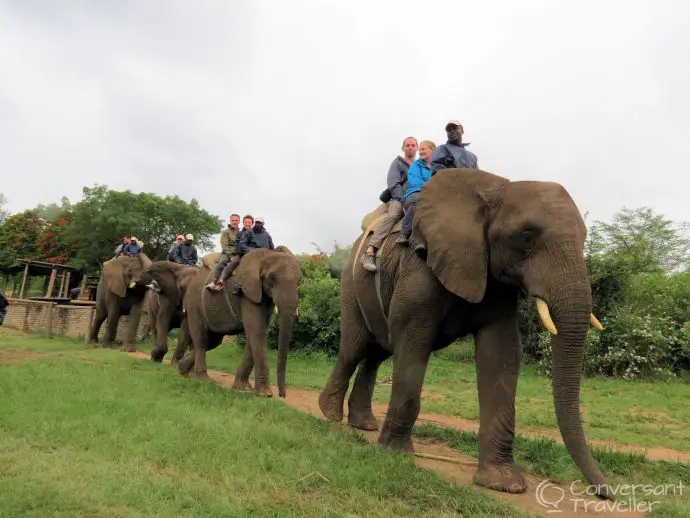 Elephant Whispers Hazyview South Africa Off on our ride around the conservancy.