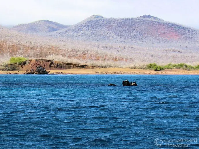 The gorgeous Galapagos