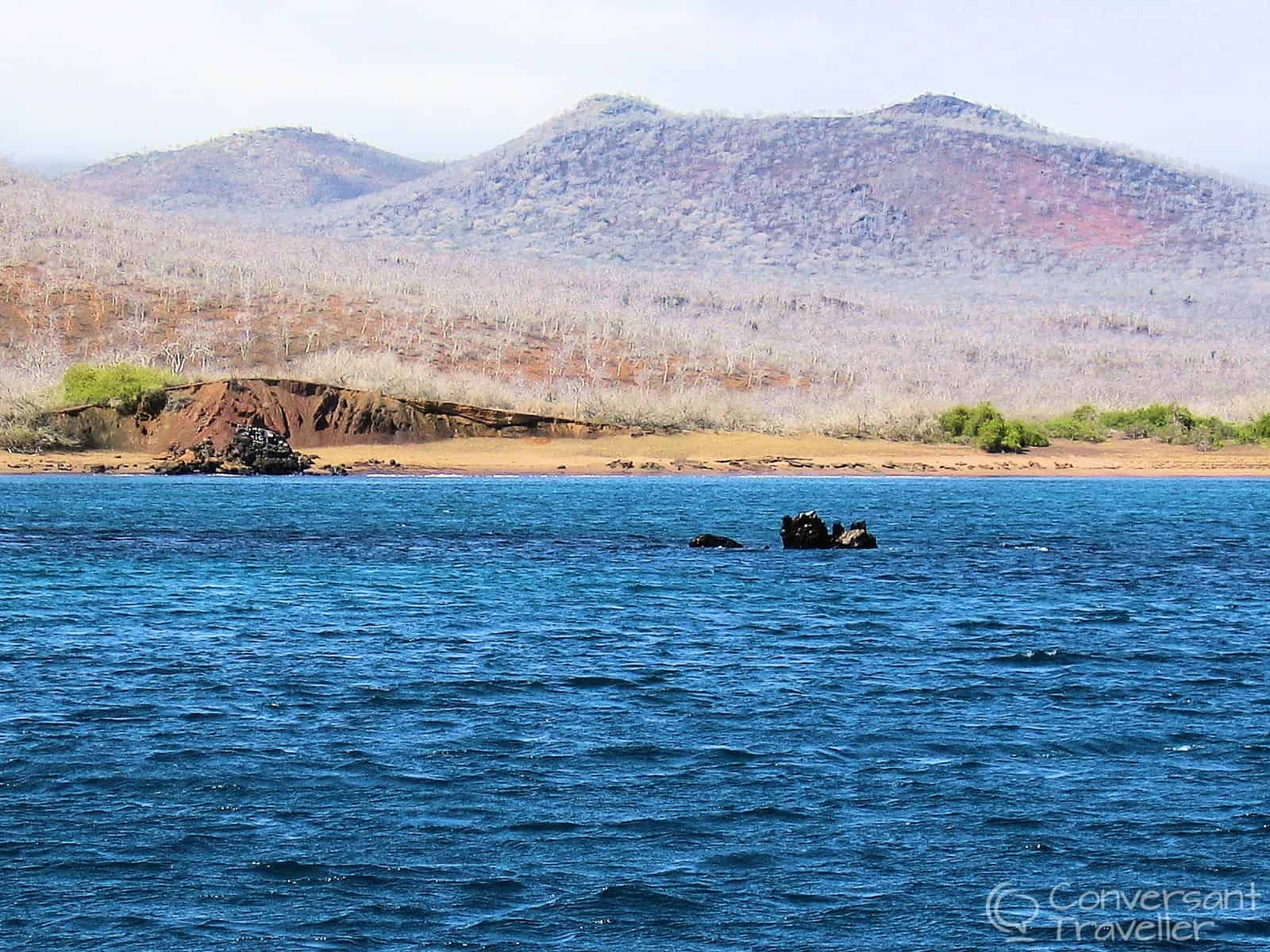 The gorgeous Galapagos