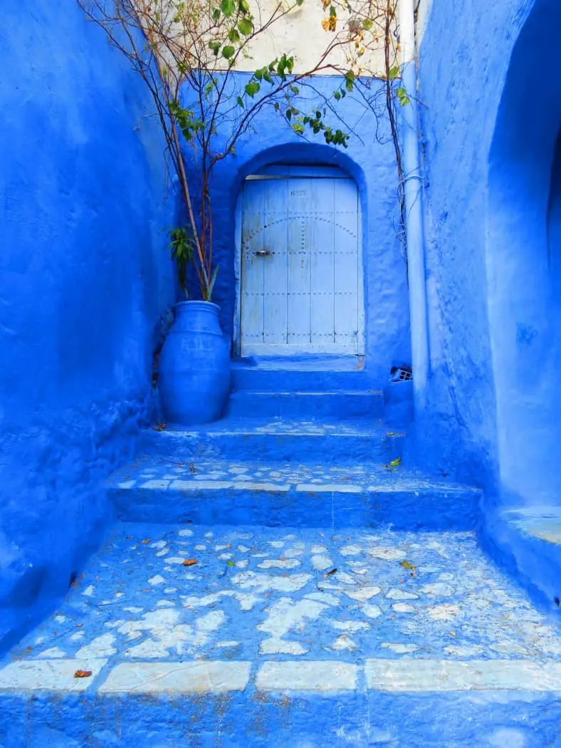 Blue streets with steps going away, and a blue plant pot