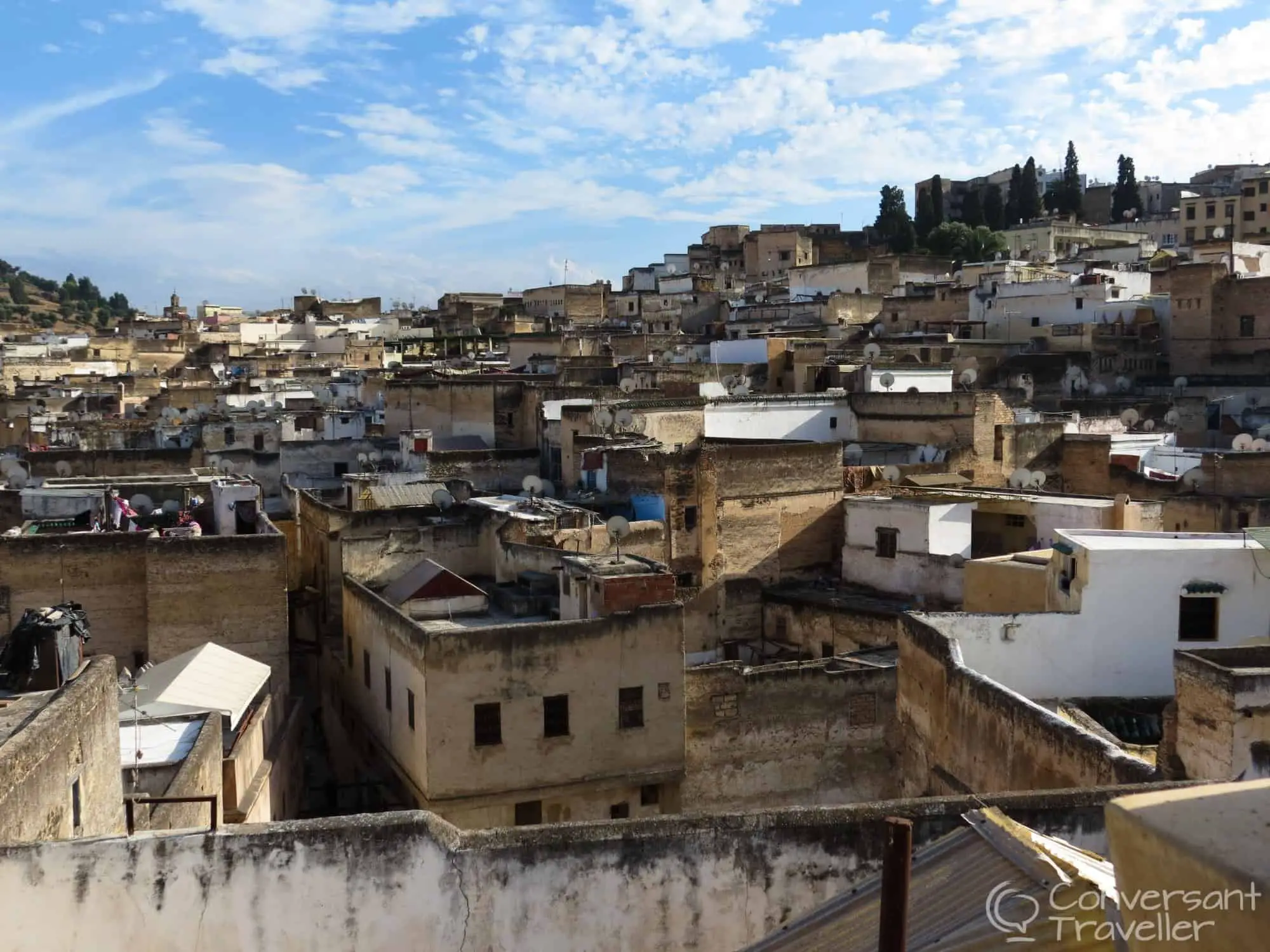 View from the roof at Riad Laayoun, Fes, Morocco