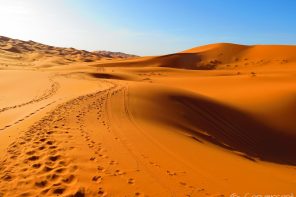 Erg Chebbi desert camp camel trek, Merzouga, Morocco