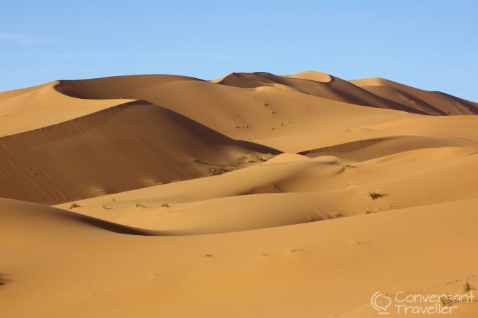 How to navigate the Marrakech souks - Like being lost in Erg Chebbi