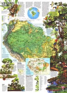 National Geographic Amazonia Poster 1992