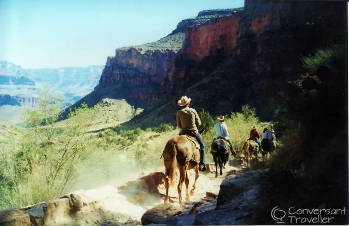 American cowboys in the Grand Canyon...