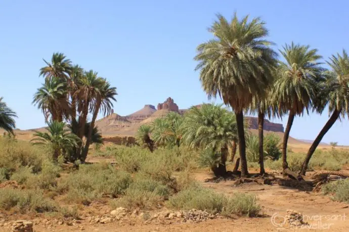 Chebbi or Chigaga, how to choose the best Erg in Morocco