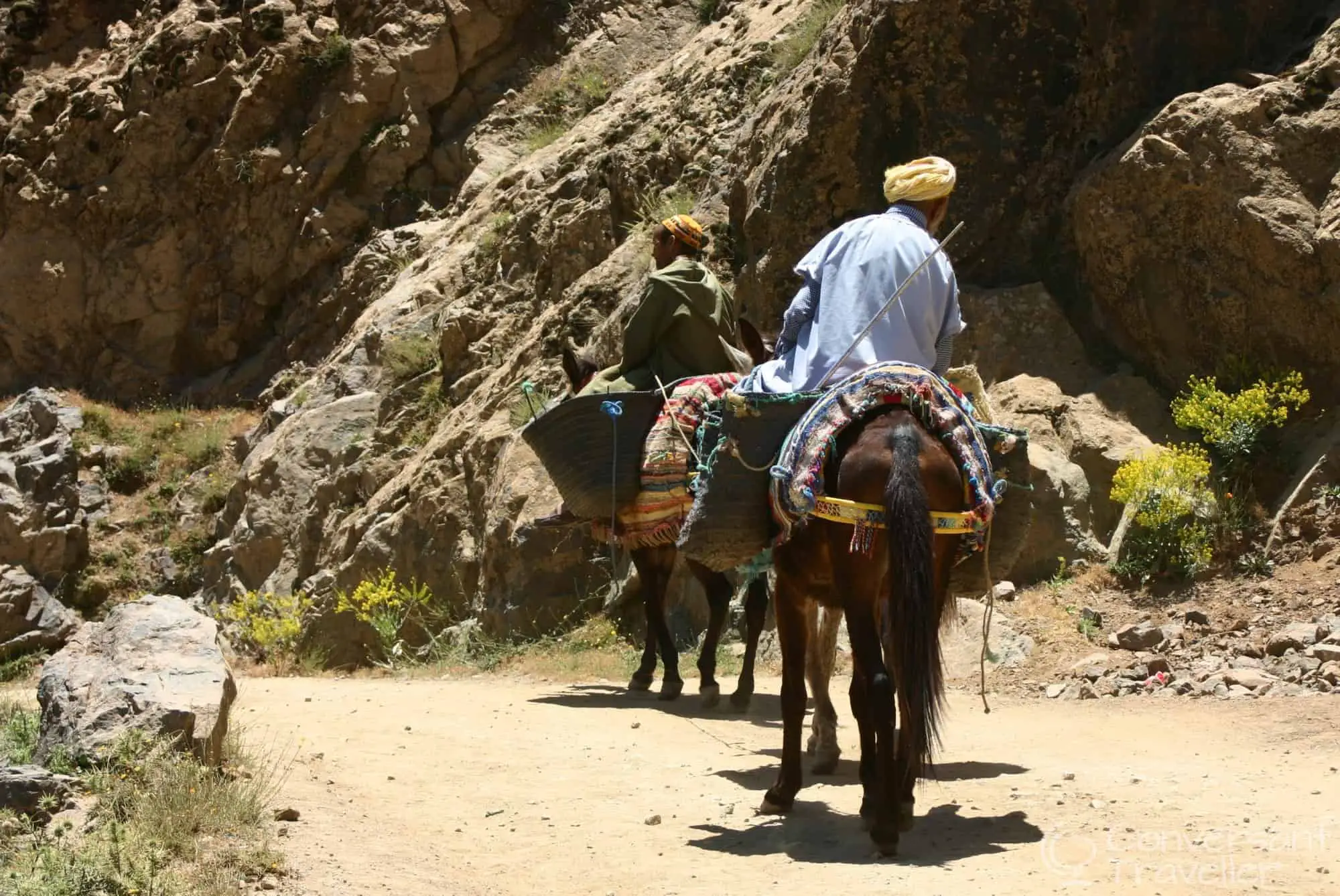 Local transport en-route to Armed near Imlil, Morocco