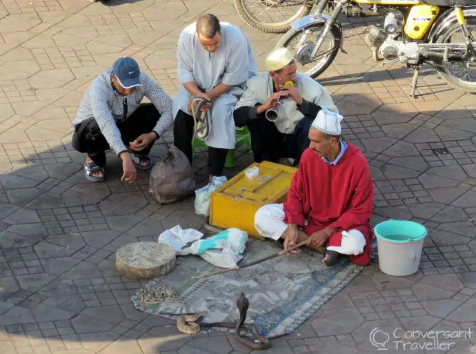 Beware the snake masters - they are not always charming! Djemaa el Fna, Marrakech
