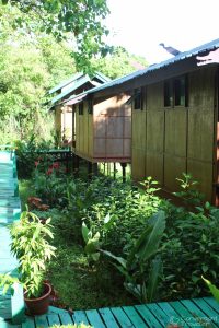 The Agamid Chalets, Kinabatangan Nature Lodge, Borneo