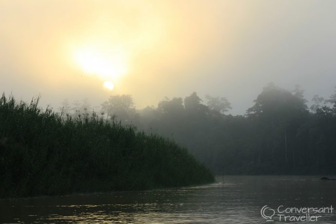 Sunrise, Kinabatangan, Borneo