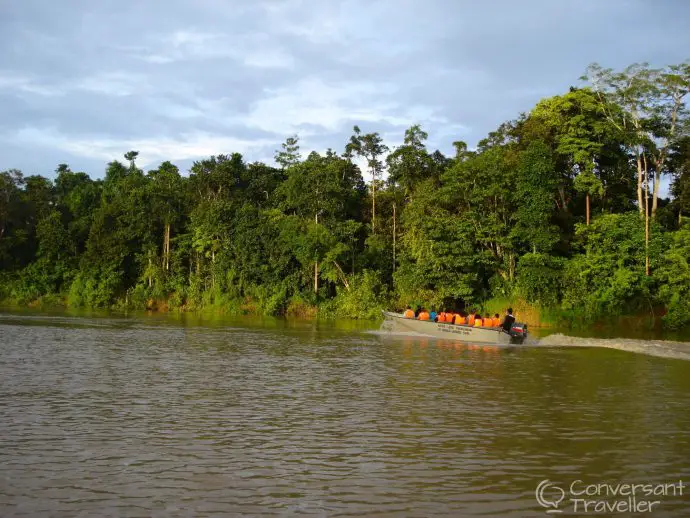 Kinabatangan, Borneo