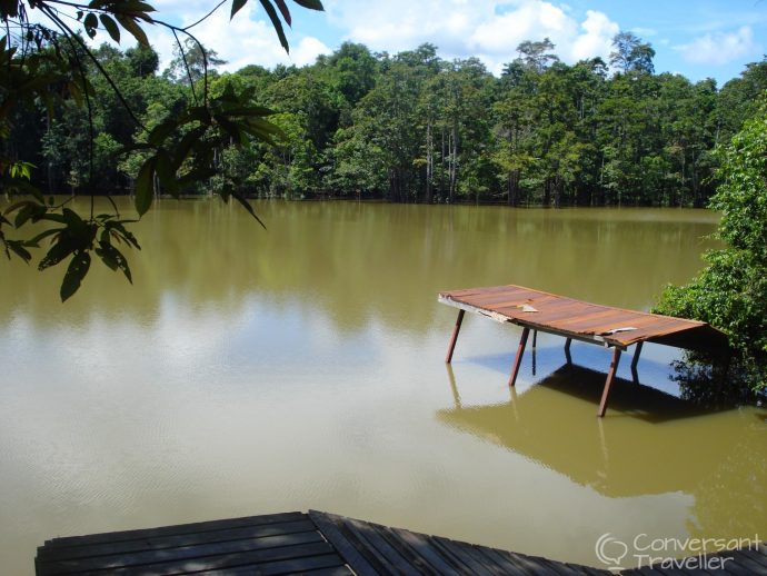 Danau Bilit, Kinabatangan, Borneo