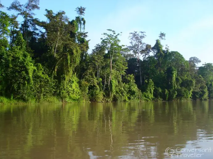 Kinabatangan, Borneo