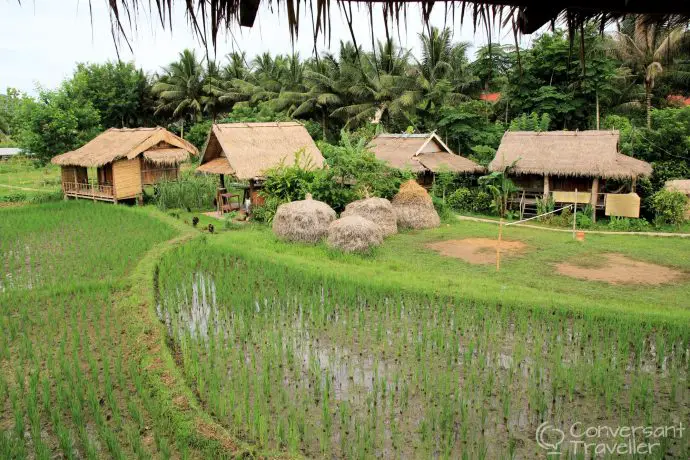 Living Land Rice Farm, Luang Prabang