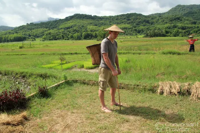 Living Land Rice Farm, Luang Prabang