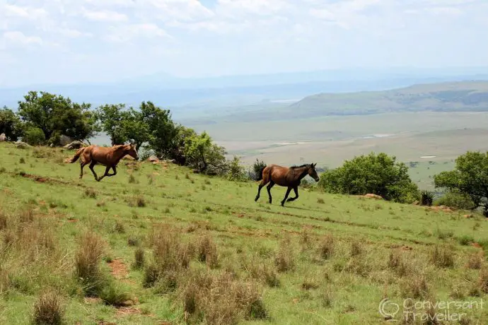 Spionkip battlefield, Northern Natal