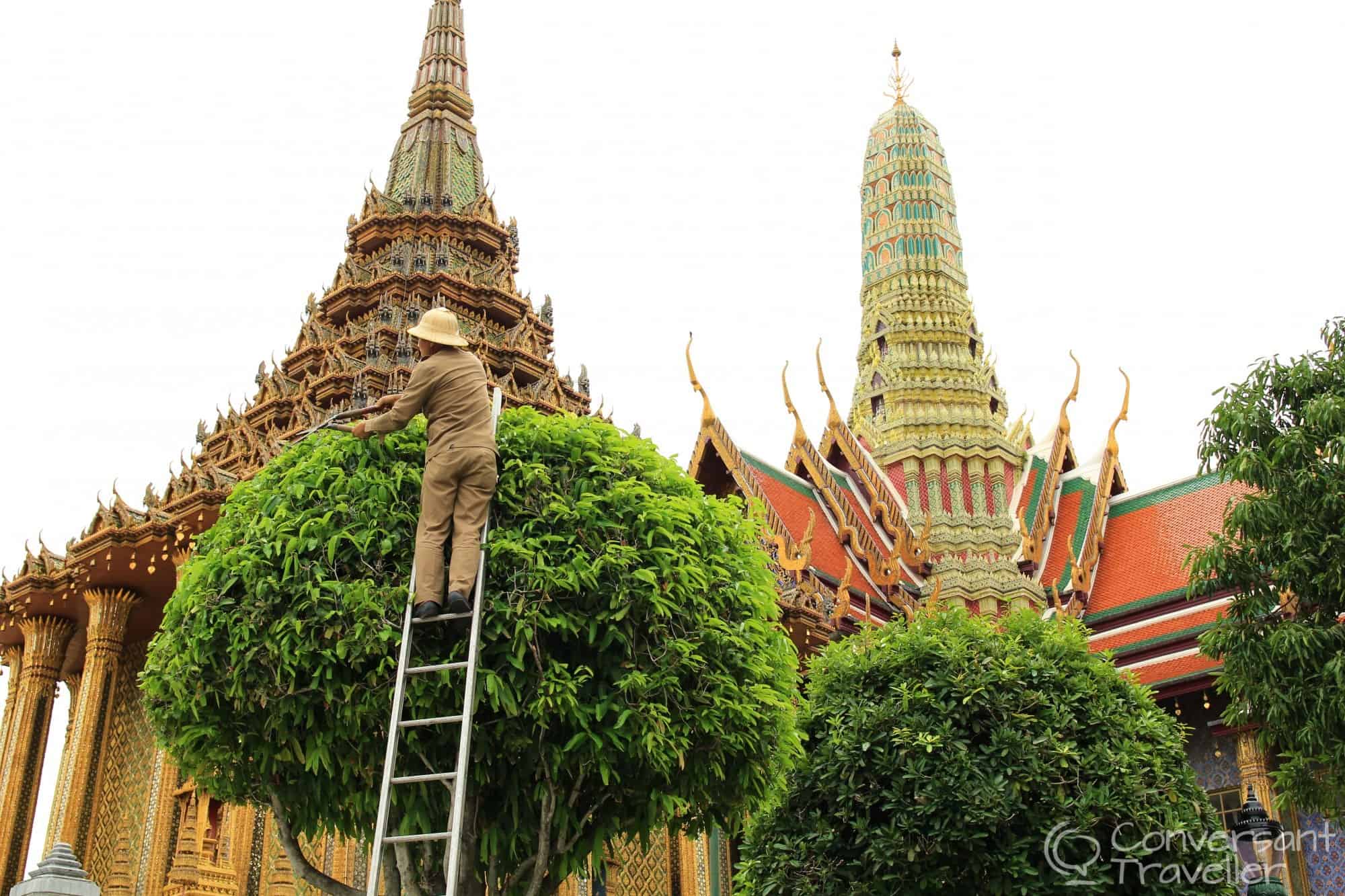 I may not like the palace, but the gardeners do a great job!