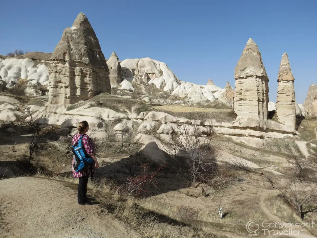 Rock landforms in a valley with a women in a pink dress looking at them.
