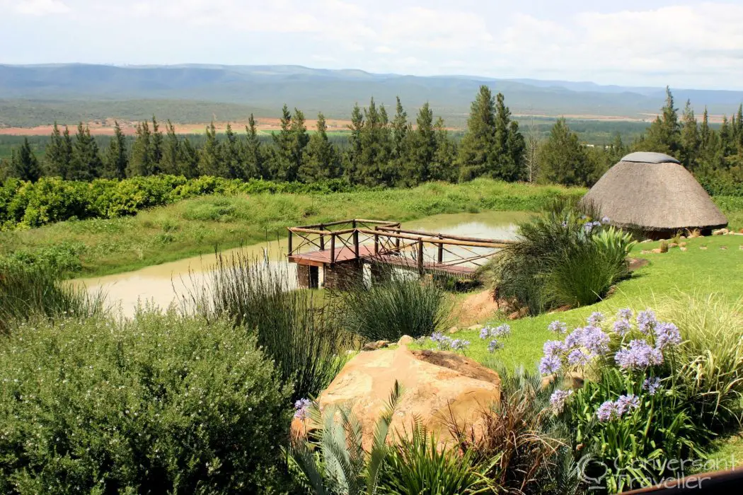 Addo Dung Beetle Guest Farm review South Africa