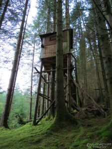 The surprise bird hide in the Ardanaiseig forests