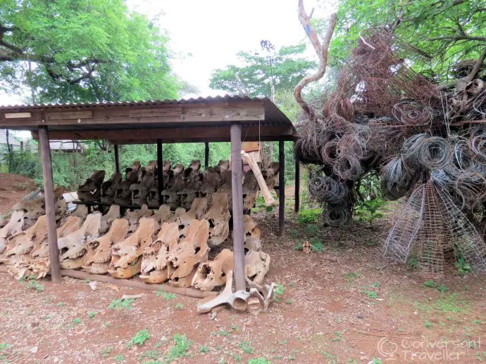 Mkhaya Game Reserve , Stone Camp, Swaziland