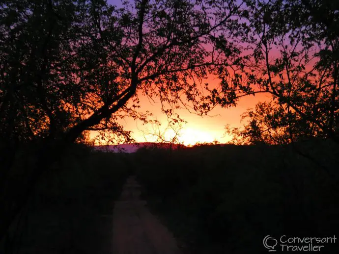 Mkhaya Game Reserve , Stone Camp, Swaziland