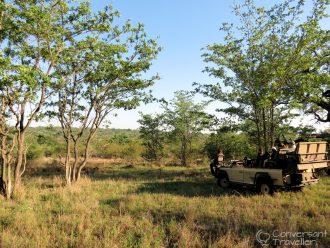 Early morning game drive in Ulusaba