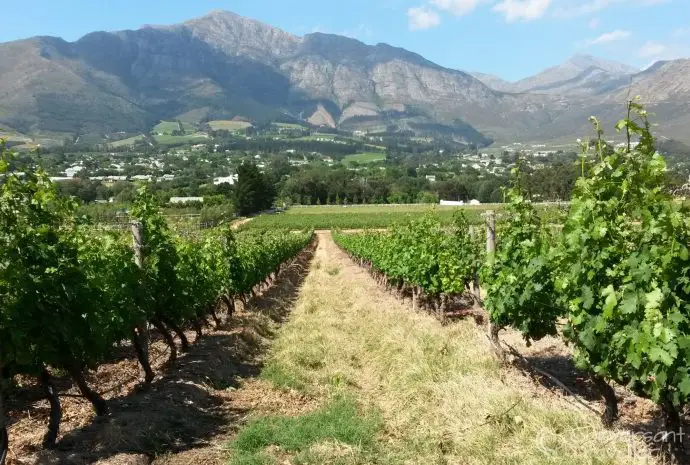 Franschhoek Wine Tram, View of Franschhoek from Mont Rochelle, South Africa