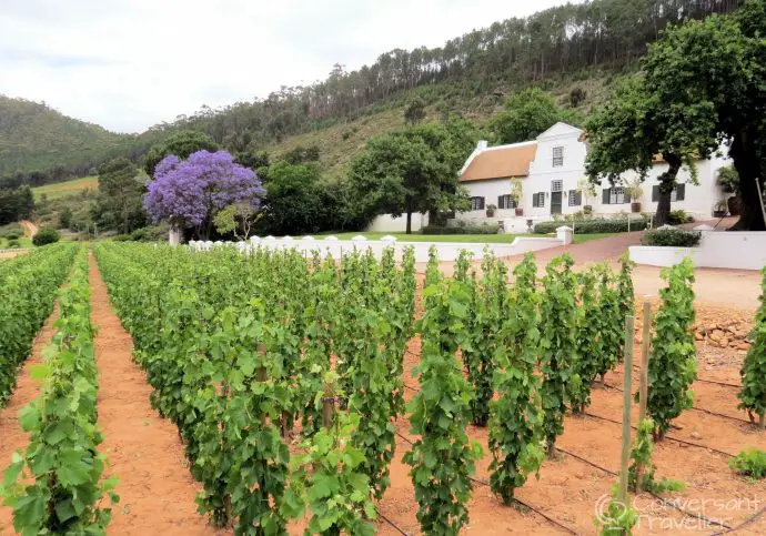 Franschhoek Wine Tram, South Africa