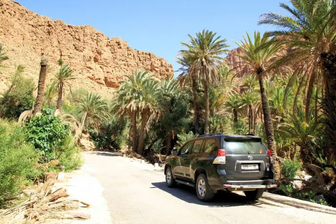 Morocco tour company - an Anti Atlas Mountains road trip with Wild Morocco tour guide Salah