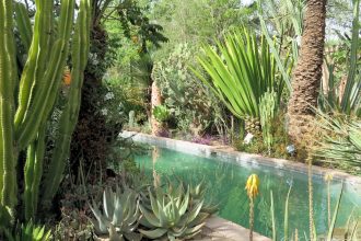 The gardens at Dar Al Hossoun, Taroudant