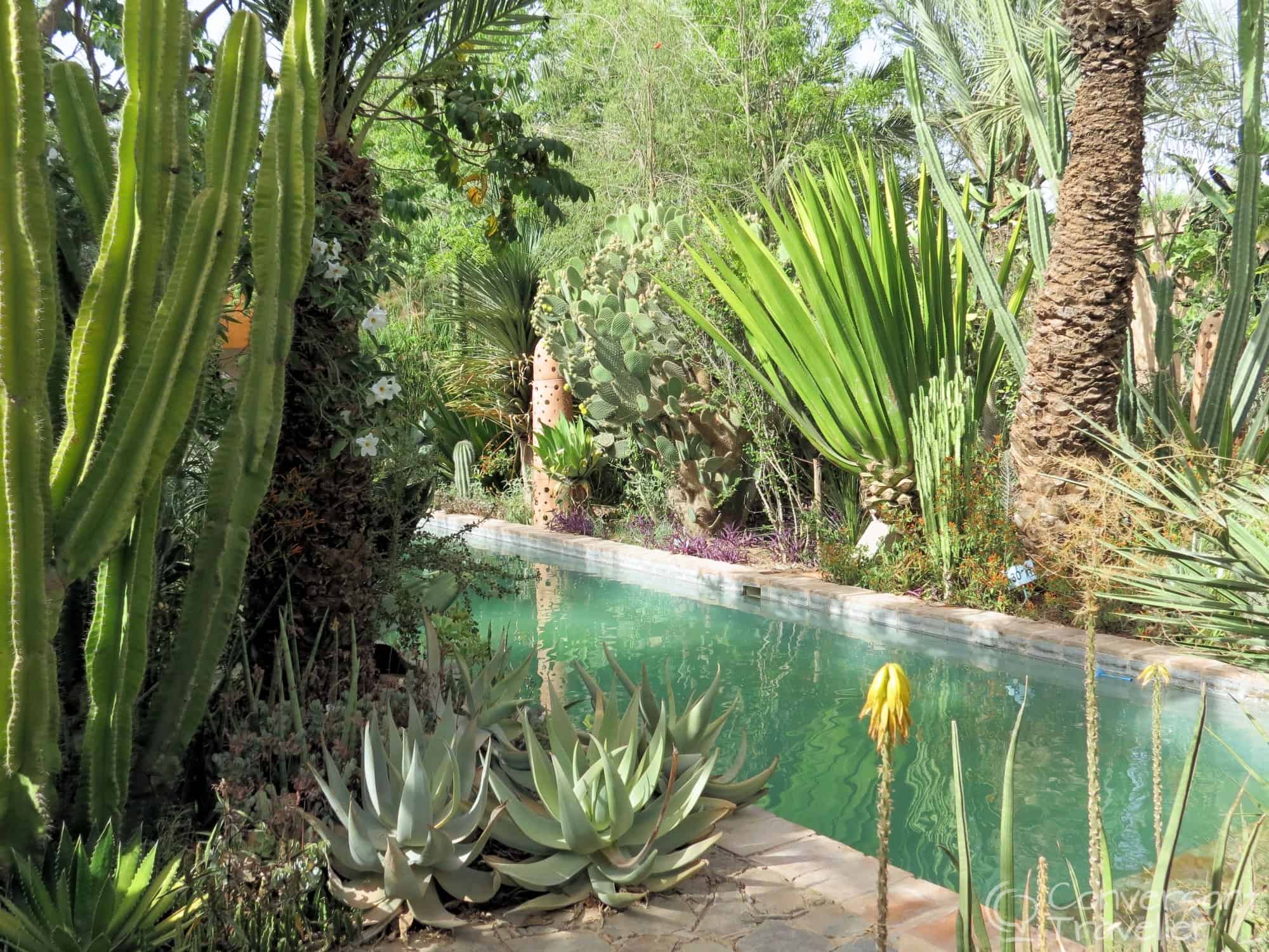 The gardens at Dar Al Hossoun, Taroudant