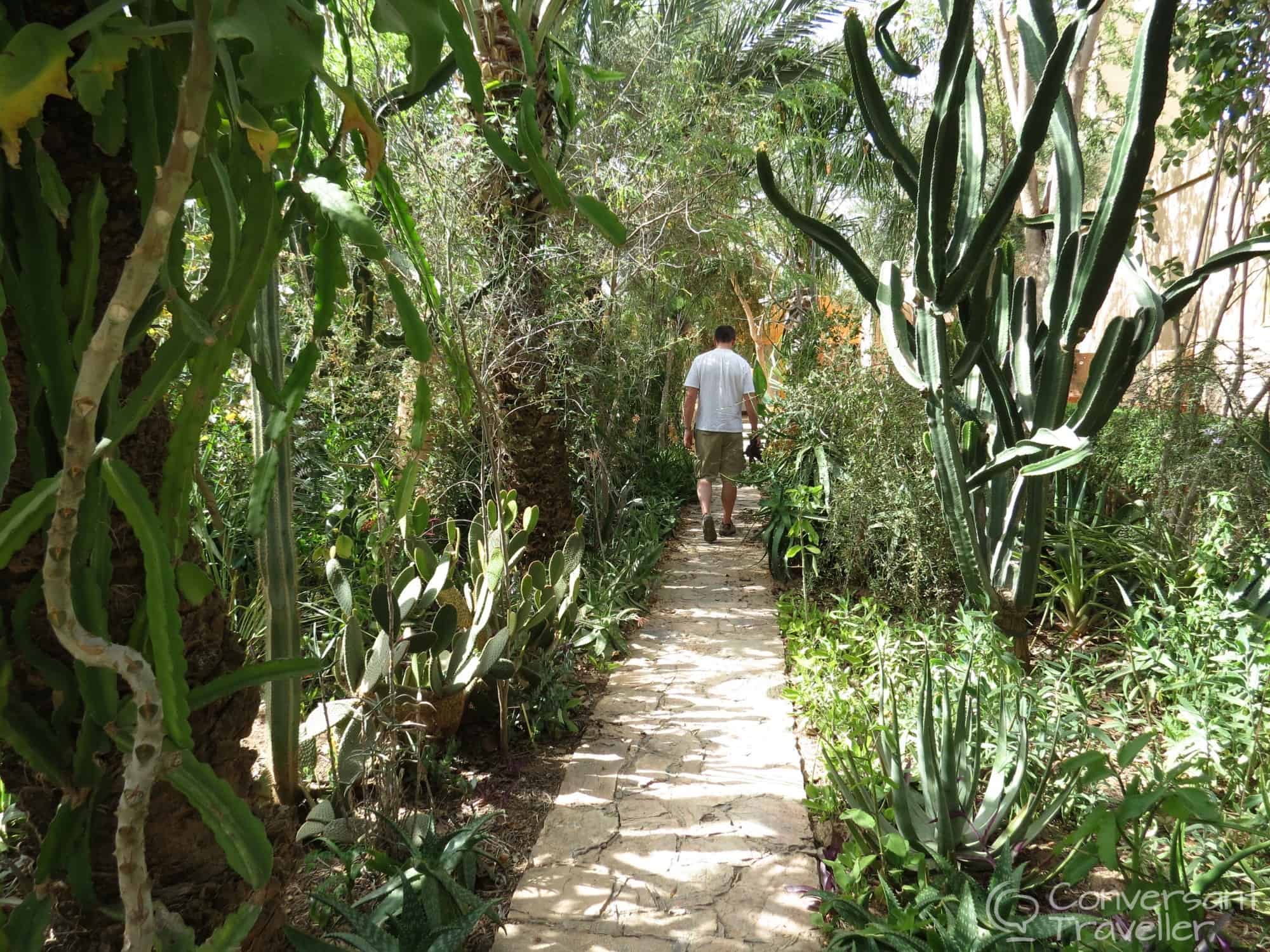 The gardens at Dar Al Hossoun, Taroudant