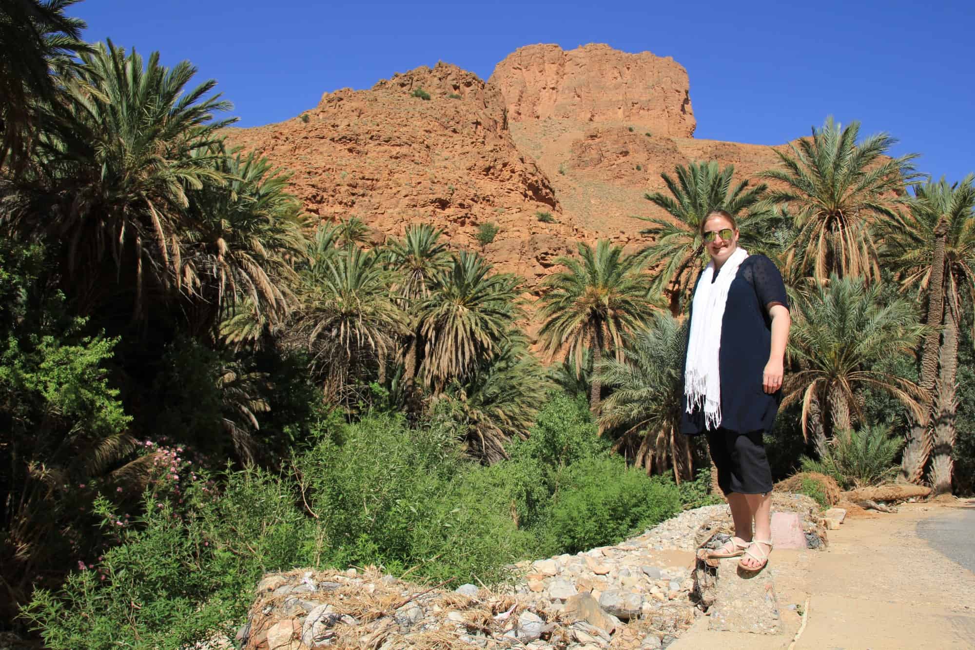 Ait Mansour Gorge, near Tafraoute, Morocco