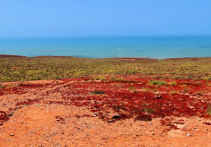 Our first view of the Atlantic coast near Tiznit, Morocco