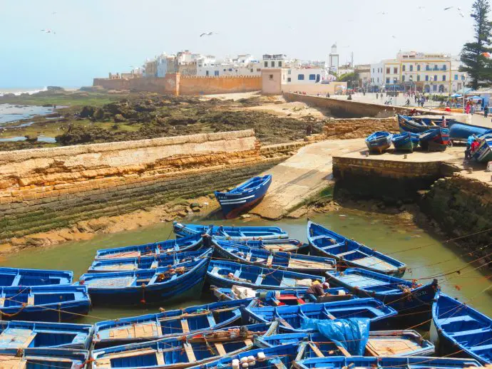 Surviving hayfever in Morocco - Fishing port, Essaouira, Morocco