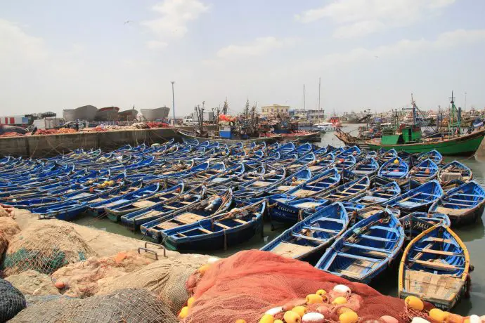 Fishing port, Essaouira, Morocco