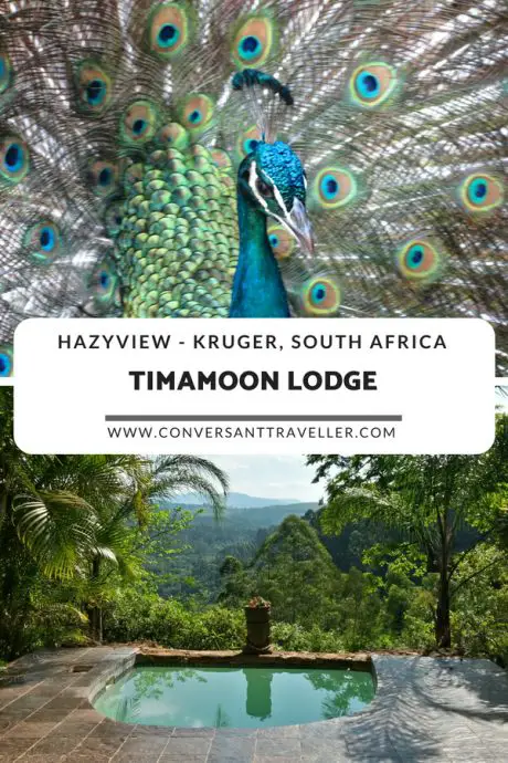 Timamoon Lodge near Hazyview and Kruger National Park in South Africa - luxury lodge with private plunge pools overlooking the Sabie River #Timamoon #southafrica #kruger #luxury #lodge
