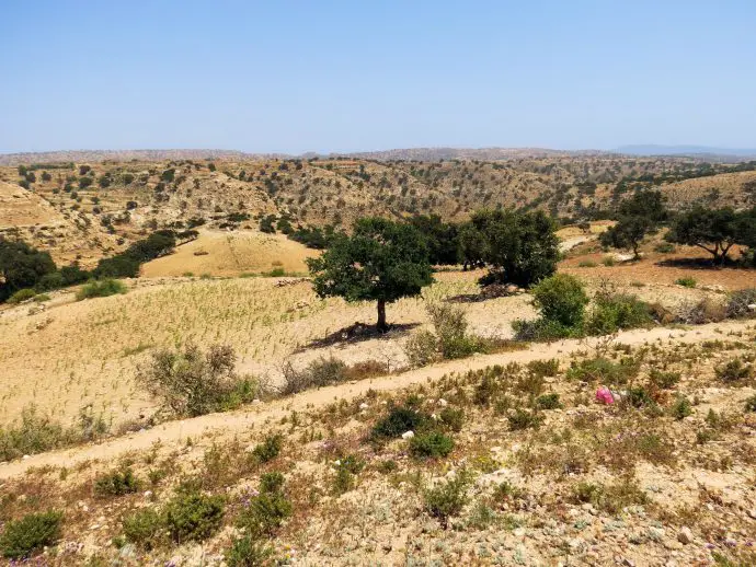 The journey between Agadir and Essaouira, Morocco