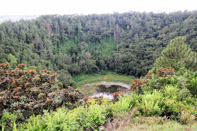 Looking into the crater at Trou aux Cerfs, Mauritius