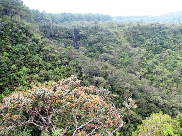 Alexandra Falls, Black River Gorges National Park, Mauritius