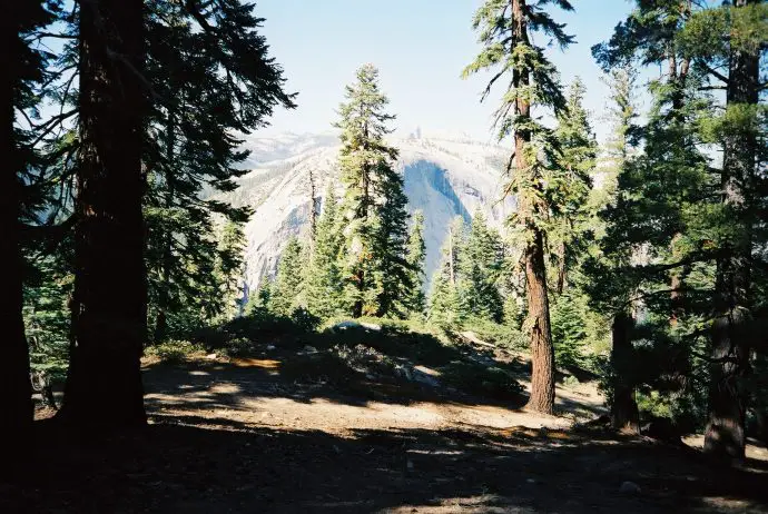 Half Dome, Yosemite