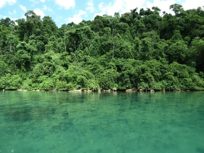 Paraty speedboat tour - Palombeta, Brazil