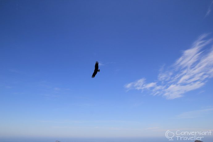 How to visit Christ the Redeemer, Rio de Janeiro, Brazil