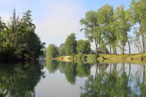 Big Berry Lifestyle Resort, a countryside wellbeing retrat in Bela Krajina, Slovenia