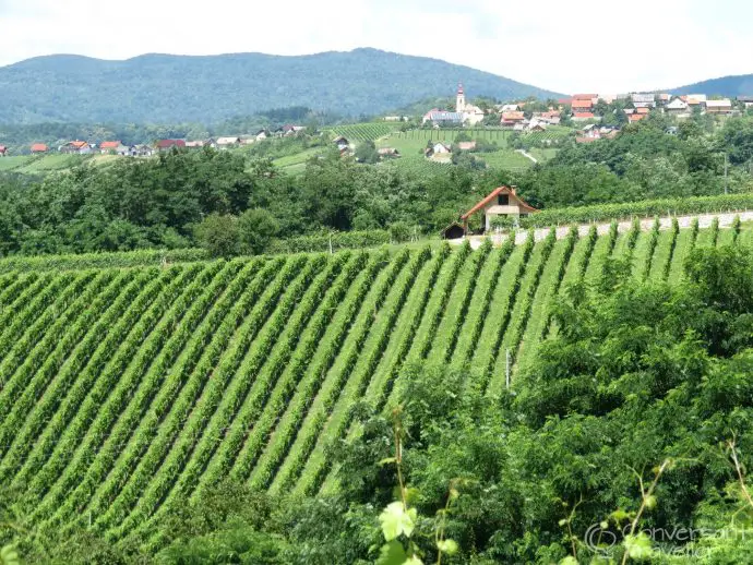 Vidošiči, Bela Krajina, Slovenia