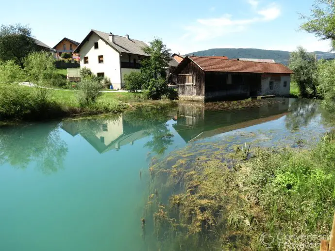 Berryshka, Bela Krajina, Slovenia